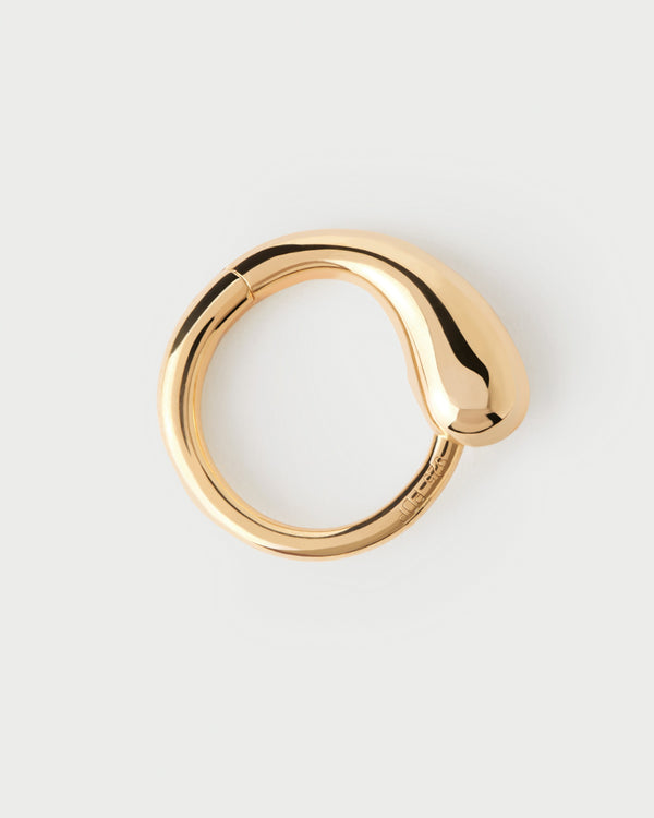 PDPAOLA Loop Single Hoop