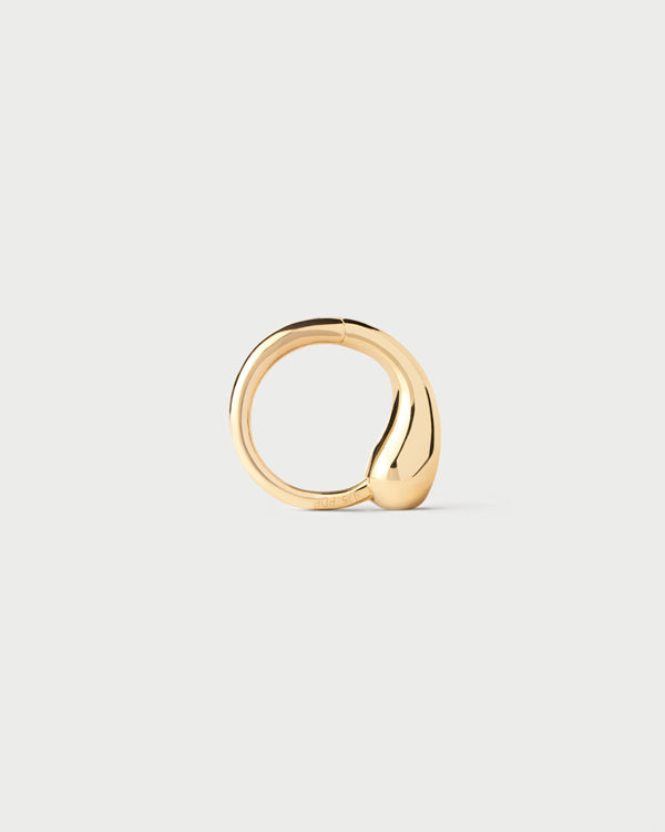PDPAOLA Loop Single Hoop