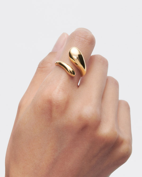 PDPAOLA Orbit Ring