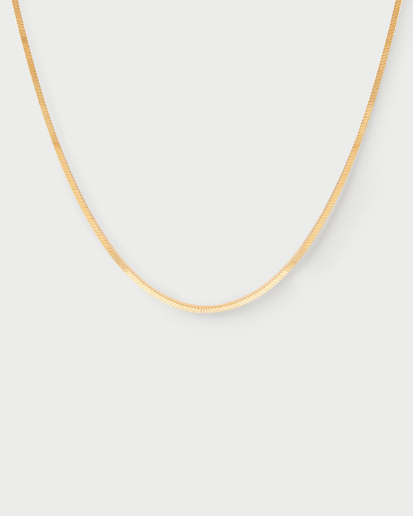 PDPAOLA Snake Necklace